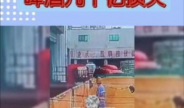 青岛啤酒爆料视频最新,探寻百年品牌背后的传奇故事